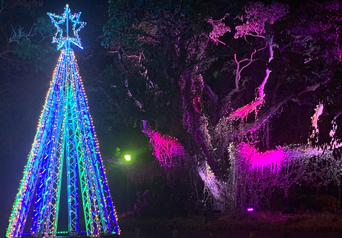 Global Truss Christmas Tree